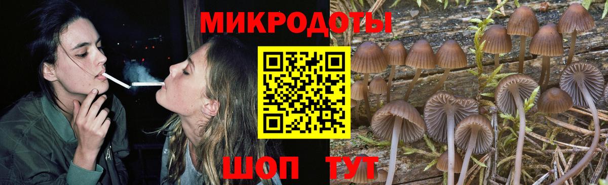 Галлюциногенные грибы Psilocybe  Псилоцибиновые грибы Cubensis  Вход с VPN  Камышлов 